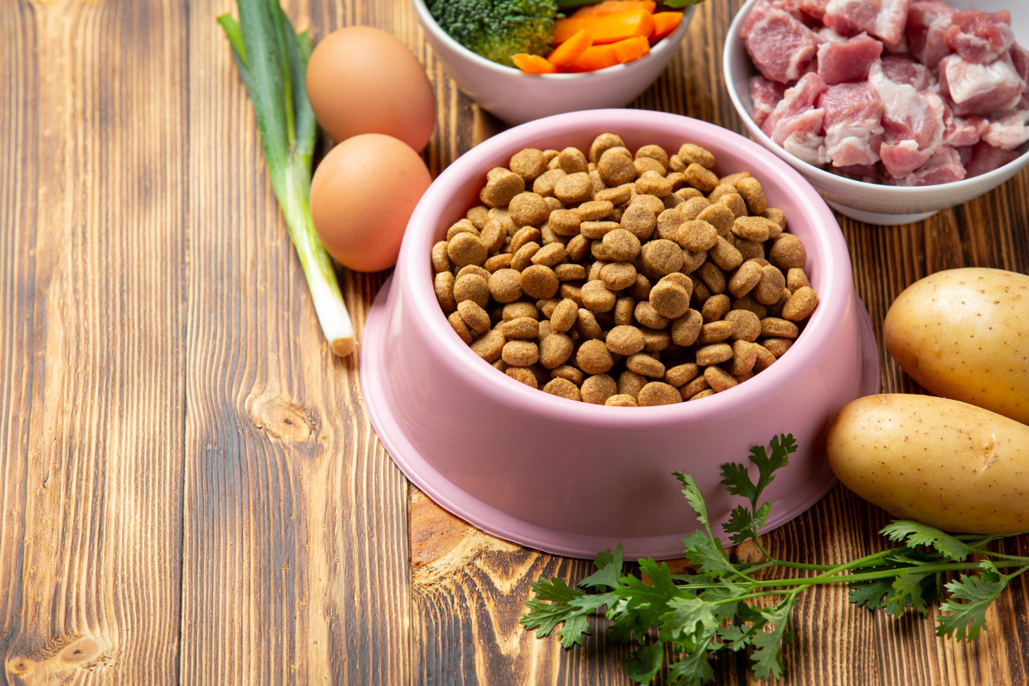 Pet Nutrition: How to Make Homemade, Balanced Meals for Your Pet