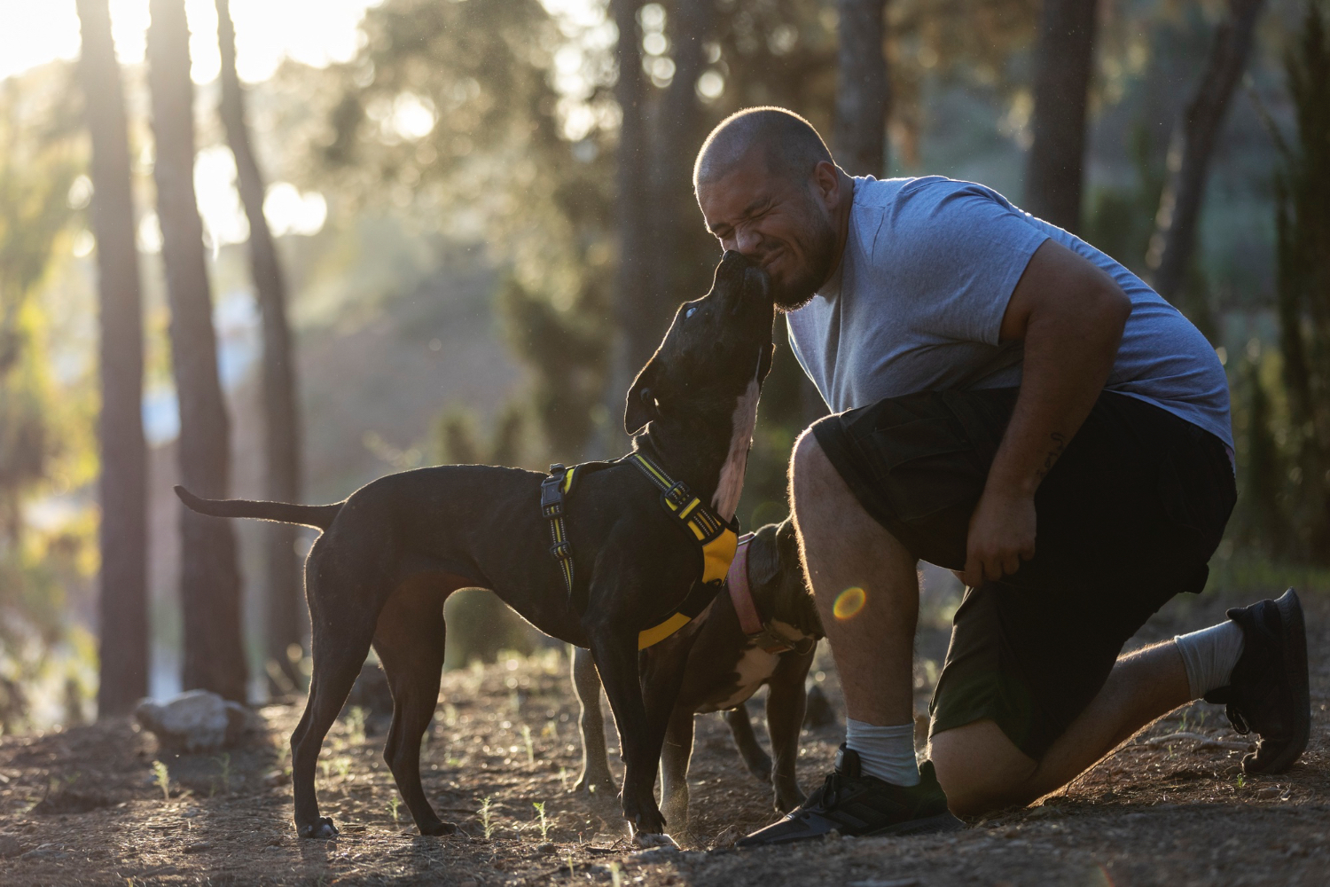 The Role of Exercise in Pet Health: How to Keep Your Pet Active and Fit
